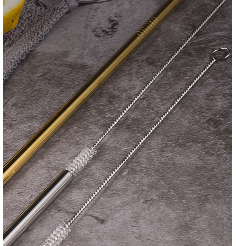 304 Stainless Steel Straws Set with Case