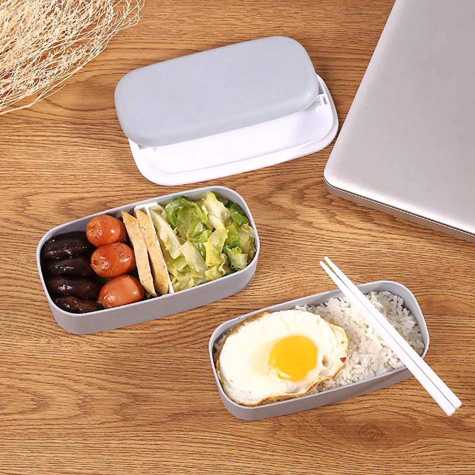 Microwave Compatible 2-Layer Lunchbox