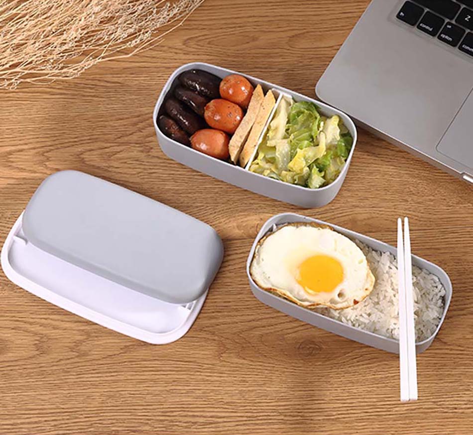 Microwave Compatible 2-Layer Lunchbox